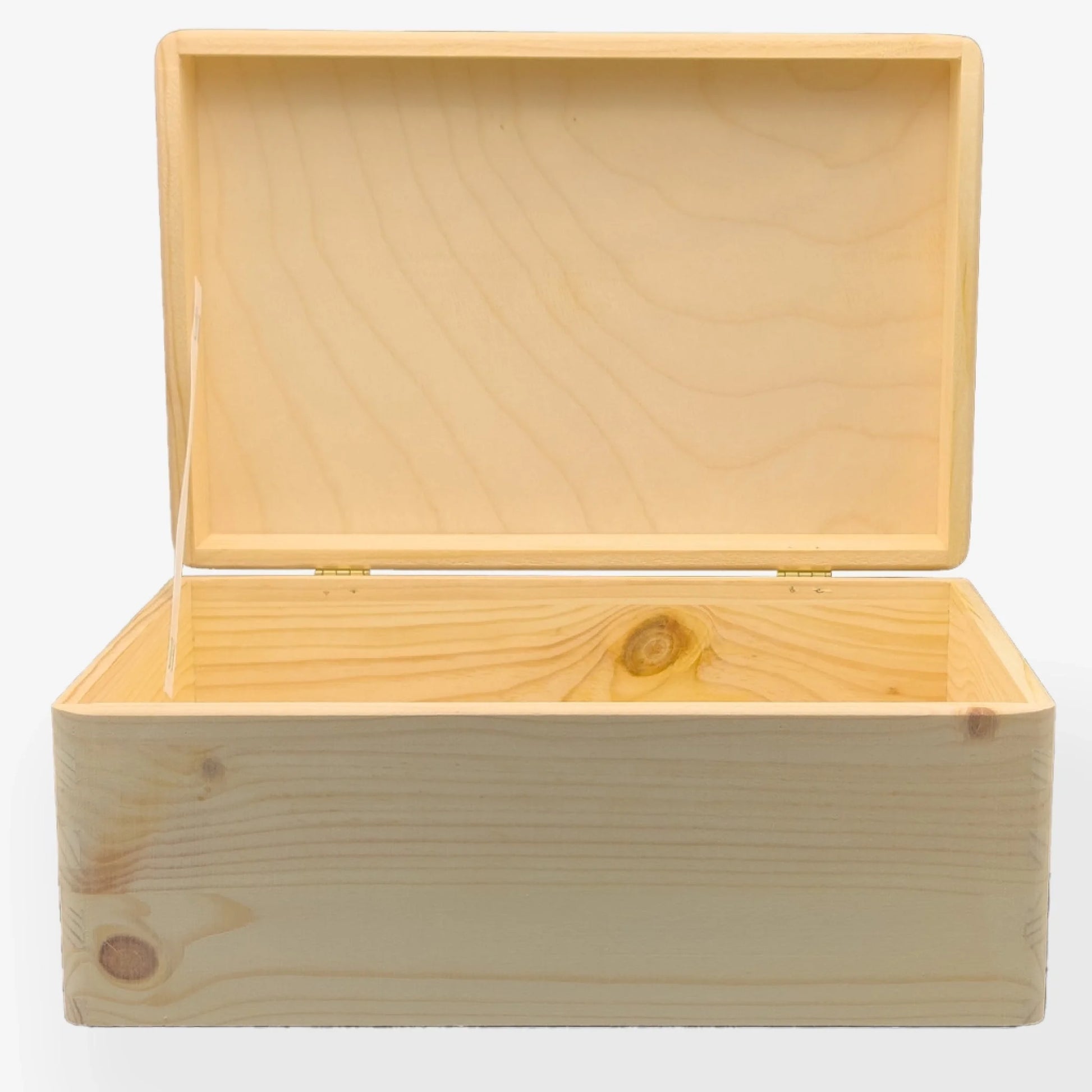 Erinnerungsbox Fee mit Pusteblume
