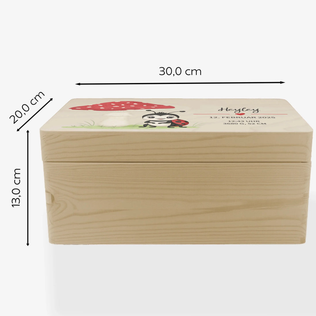 Erinnerungskiste Pilz und Marienkäfer, personalisiert Erinnerungsbox Fichten- u. Birkenholz 30,0 x 20,0 x 13,0 cm